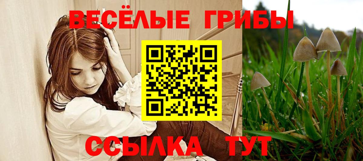 Галлюциногенные грибы прущие грибы Астрахань