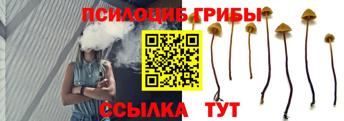 Астрахань  Галлюциногенные грибы прущие грибы  Вход с VPN 